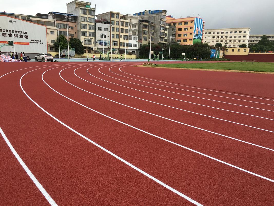 临高县学校塑胶跑道塑胶跑道材料 - 推荐
